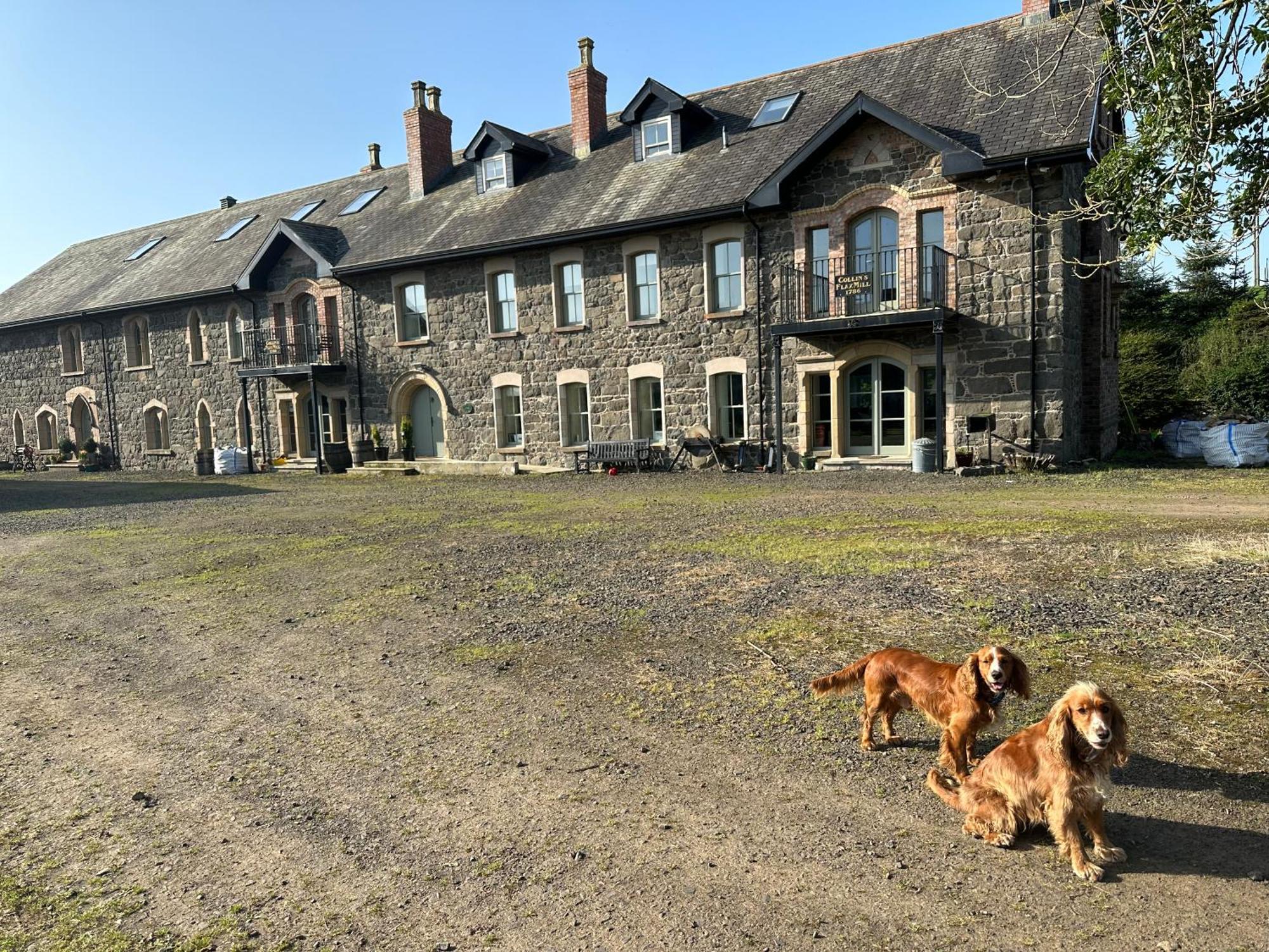 Flax Mill Yoga Retreat Villa Coleraine Exteriör bild